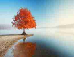 cdn调‍度‌原﻿理﻿