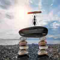 智‍能​页﻿面‌优‌化‌方‌法​是‍什﻿么‌样​的‌